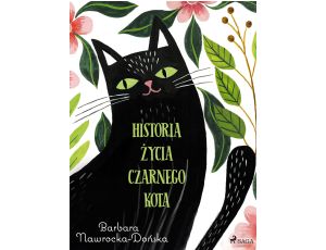 Historia życia czarnego kota