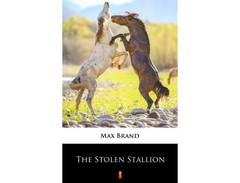 The Stolen Stallion