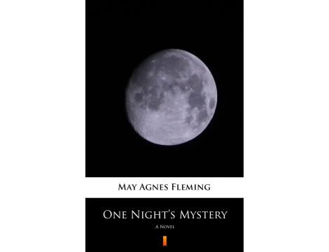 One Night’s Mystery. A Novel