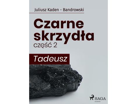 Czarne skrzydła 2 - Tadeusz