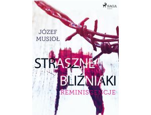 Straszne Bliźniaki. Reminiscencje