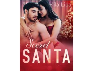 Secret Santa – opowiadanie erotyczne