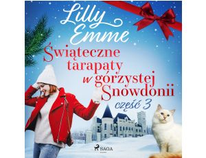 Świąteczne tarapaty w górzystej Snowdonii - część 3