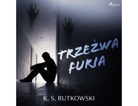 Trzeźwa furia