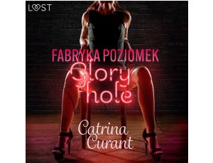 Fabryka Poziomek: Glory hole – opowiadanie erotyczne