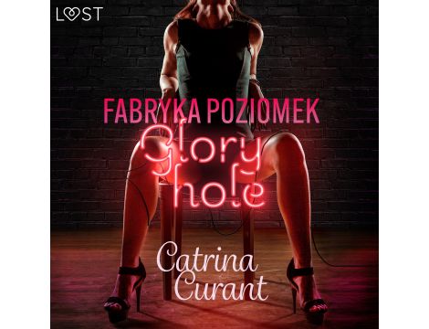 Fabryka Poziomek: Glory hole – opowiadanie erotyczne
