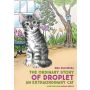 Historia zwyczajna Kropelki kota niezwykłego / The ordinary story of Droplet an extraordinary cat - 2