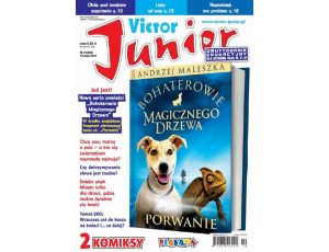 Victor Junior nr 10 (308)