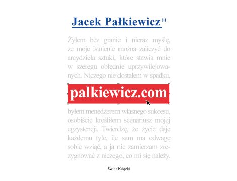 palkiewicz.com