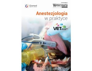 Anestezjologia w praktyce