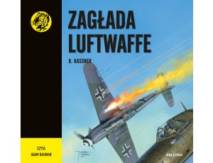 Zagłada Luftwaffe. Żółty tygrys