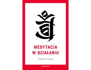 Medytacja w działaniu