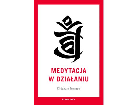 Medytacja w działaniu