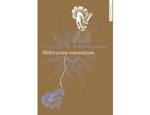 Elektryczny romantyzm Nauka o elektryczności a literatura i filozofia polska pierwszej połowy XIX wieku