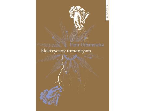 Elektryczny romantyzm Nauka o elektryczności a literatura i filozofia polska pierwszej połowy XIX wieku