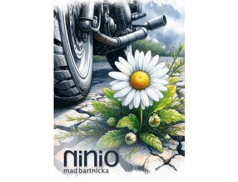 Ninio