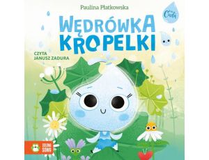 Wędrówka kropelki