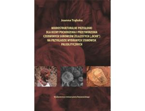 Mikrostrukturalne przesłanki dla oceny pochodzenia i przetworzenia czerwonych surowców żelazistych (