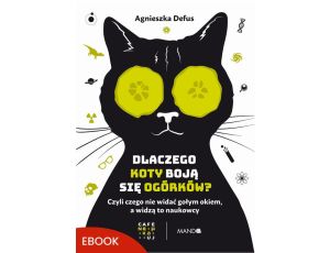 Dlaczego koty boją się ogórków? Czyli czego nie widać gołym okiem, a widzą to naukowcy