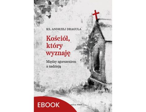 Kościół, który wyznaję Między zgorszeniem a nadzieją