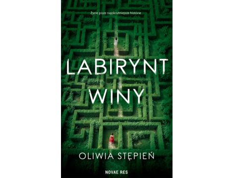 Labirynt winy