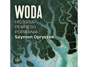 Woda. Historia pewnego porwania