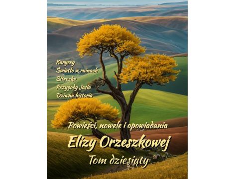 Powieści, nowele i opowiadania Elizy Orzeszkowej. Tom X