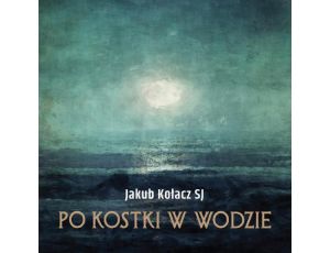 Po kostki w wodzie 7 katechez o wierze uczniów Jezusa