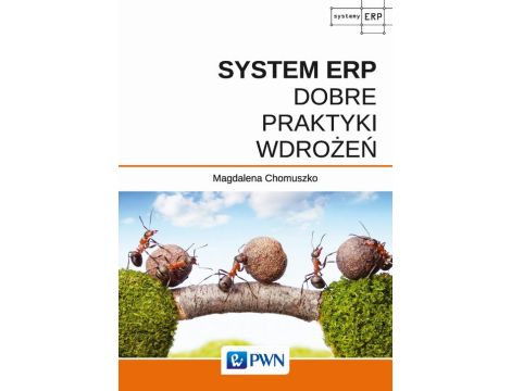 System ERP - Dobre praktyki wdrożeń