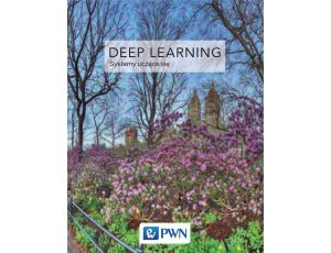 Deep Learning Współczesne systemy uczące się