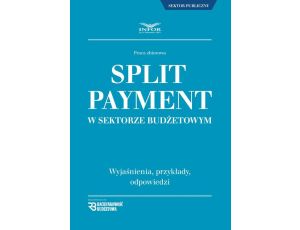 Split Payment w sektorze budżetowym wyjaśnienia , przykłady , odpowiedzi