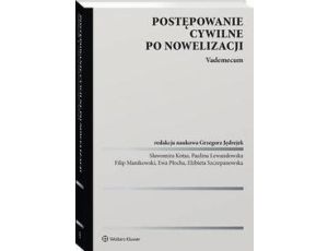 Postępowanie cywilne po nowelizacji. Vademecum