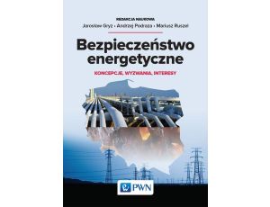 Bezpieczeństwo energetyczne Koncepcje, wyzwania, interesy