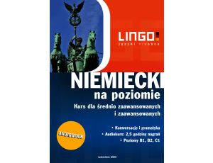 Niemiecki na poziomie