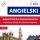 Angielski. Słownictwo dla zaawansowanych: English Vocabulary Master for Advanced Learners (Listen & Learn - Poziom B2-C1)