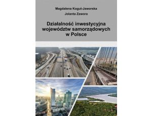 Działalność inwestycyjna województw samorządowych w Polsce