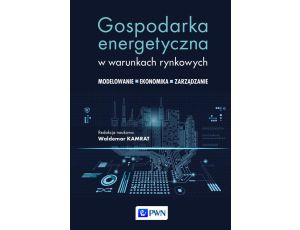 Gospodarka energetyczna w warunkach rynkowych Modelowanie - Ekonomika - Zarządzanie