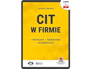 CIT w firmie – przykłady – komentarze – interpretacje (e-book z suplementem elektronicznym) eBPG1488e