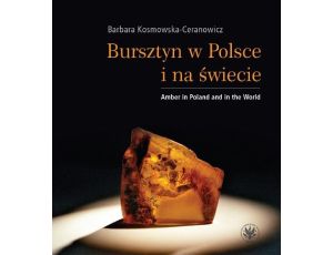Bursztyn w Polsce i na świecie Amber in Poland and in the World