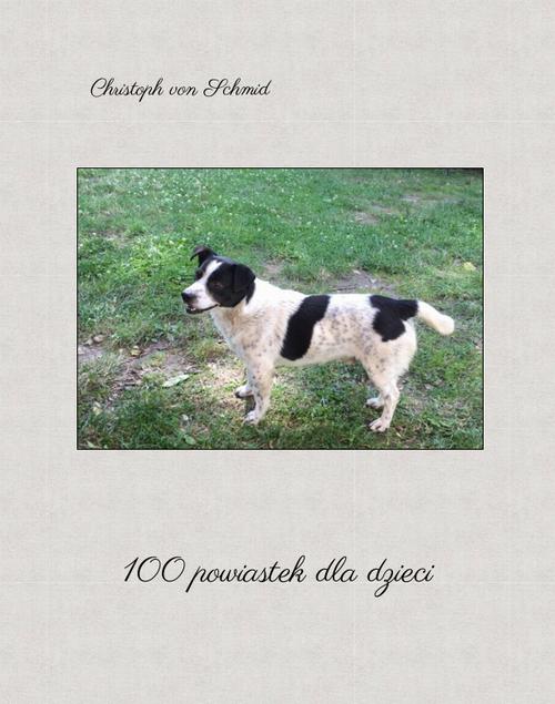 Tytuł: 100 powiastek dla dzieci
Autor: Christoph von Schmid
Wydawnictwo: Armoryka
Formaty: MOBI, EPUB