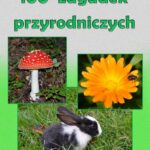 Tytuł: 100 zagadek przyrodniczych
Autor: Katarzyna Michalec
Wydawnictwo: Wydawnictwo e-bookowo
Formaty: PDF