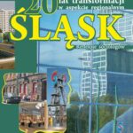 20 lat transformacji w aspekcie regionalnym — okładka e-booka