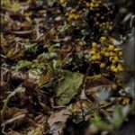 Tytuł: 36 i 6
Autor: Mirosława Piaskowska-Majzel
Wydawnictwo: Forma
Formaty: EPUB, MOBI