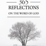 Tytuł: 365 REFLECTIONS ON THE WORD OF GOD.
Autor: Ks. Kazimierz Ligęza
Wydawnictwo: Petrus
Formaty: PDF