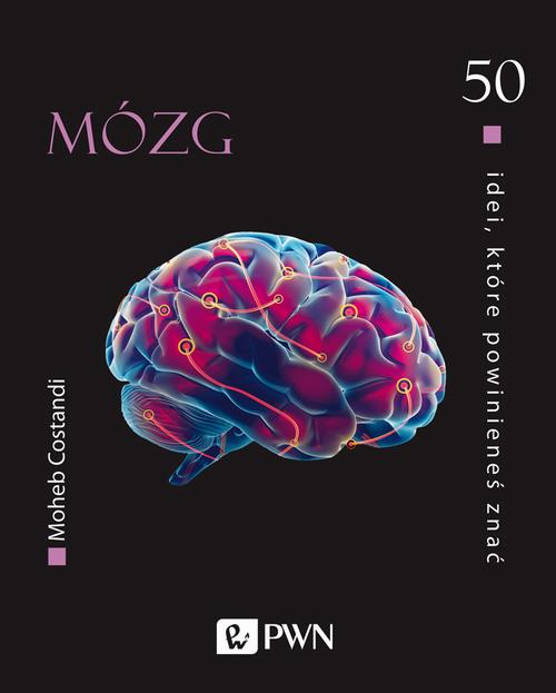 Tytuł: 50 idei, które powinieneś znać Mózg
Autor: Moheb Costandi
Wydawnictwo: Wydawnictwo Naukowe PWN
Formaty: MOBI, EPUB