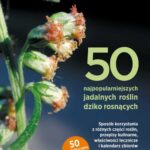 50 najpopularniejszych roślin dziko rosnących. — okładka e-booka