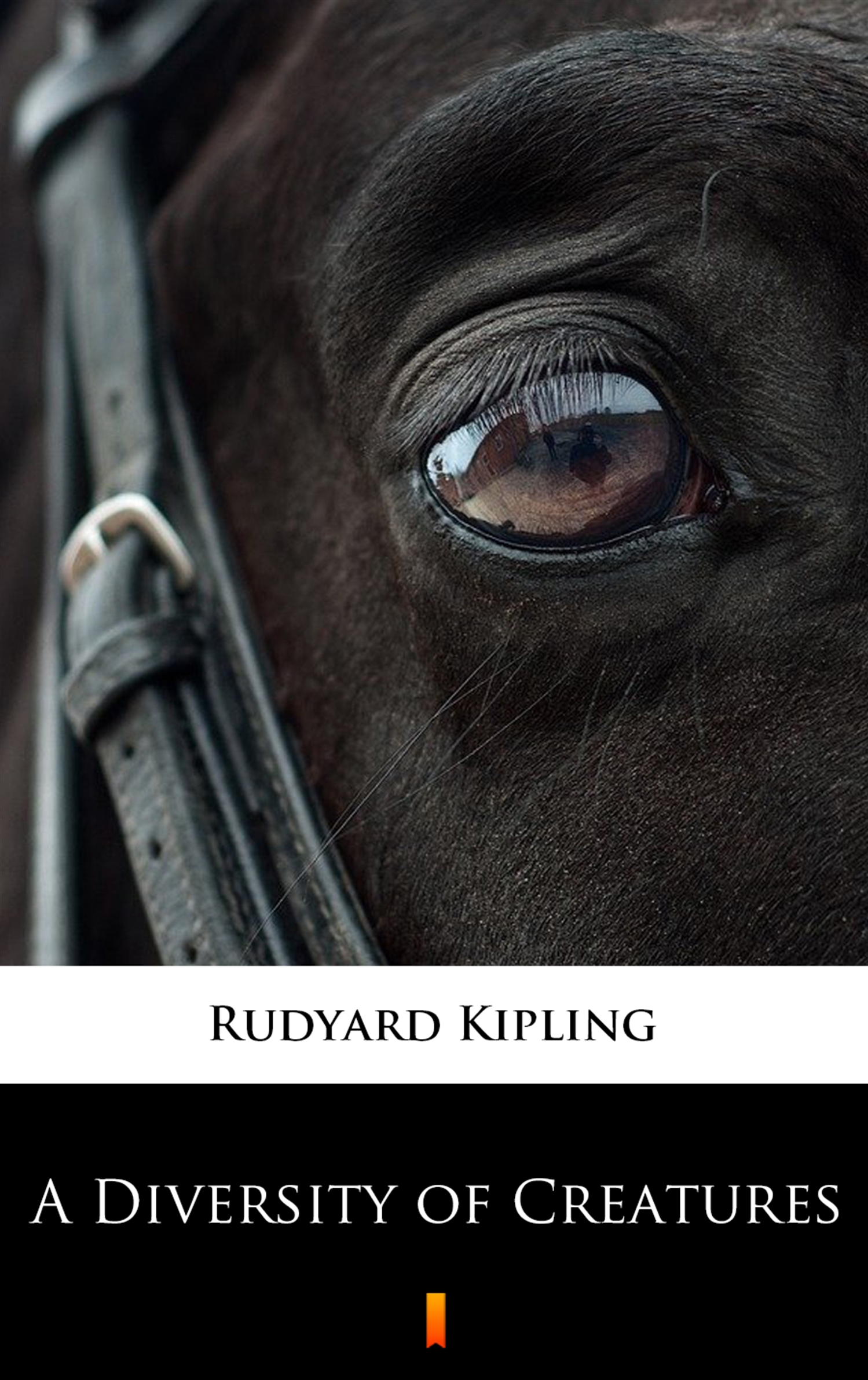 Tytuł: A Diversity of Creatures
Autor: Rudyard Kipling
Wydawnictwo: KtoCzyta.pl
Formaty: EPUB, MOBI