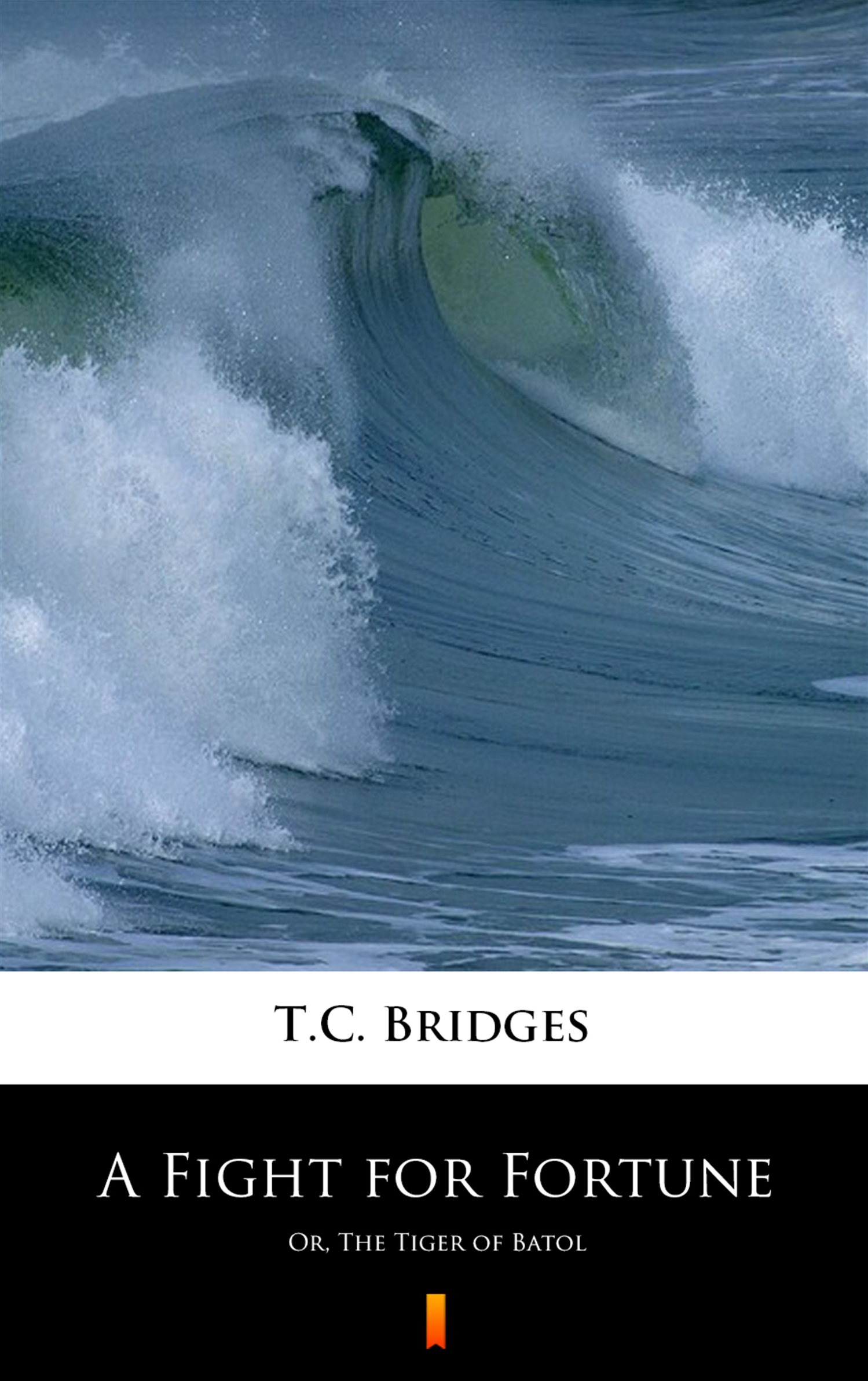 Tytuł: A Fight for Fortune. Or, The Tiger of Batol
Autor: T.C. Bridges
Wydawnictwo: KtoCzyta.pl
Formaty: EPUB, MOBI