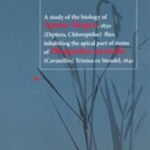 Tytuł: A study of the biology of Lipara Meigen 1830 flies inhabiting the apical part of stems of Phragmites australis Trinius ex Steudel 1841
Autor: Maria Grochowska
Wydawnictwo: UMCS
Formaty: PDF