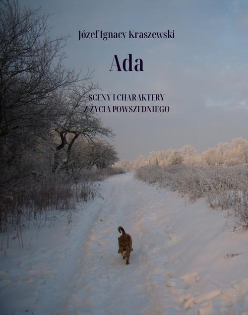 Tytuł: Ada. Sceny i charaktery z życia powszedniego
Autor: Józef Ignacy Kraszewski
Wydawnictwo: Armoryka
Formaty: MOBI, EPUB